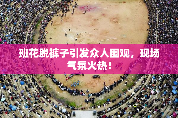 班花脱裤子引发众人围观，现场气氛火热！