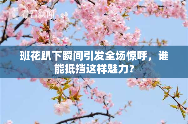 班花趴下瞬间引发全场惊呼，谁能抵挡这样魅力？