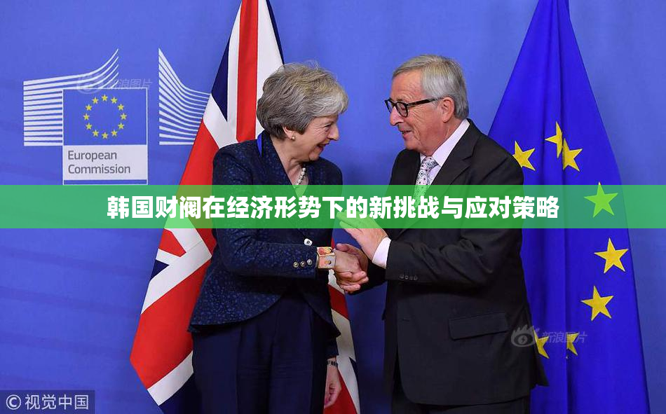 韩国财阀在经济形势下的新挑战与应对策略