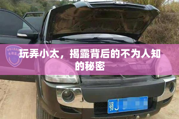 玩弄小太，揭露背后的不为人知的秘密