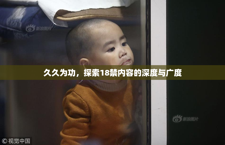 久久为功，探索18禁内容的深度与广度
