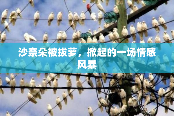 沙奈朵被拔萝，掀起的一场情感风暴