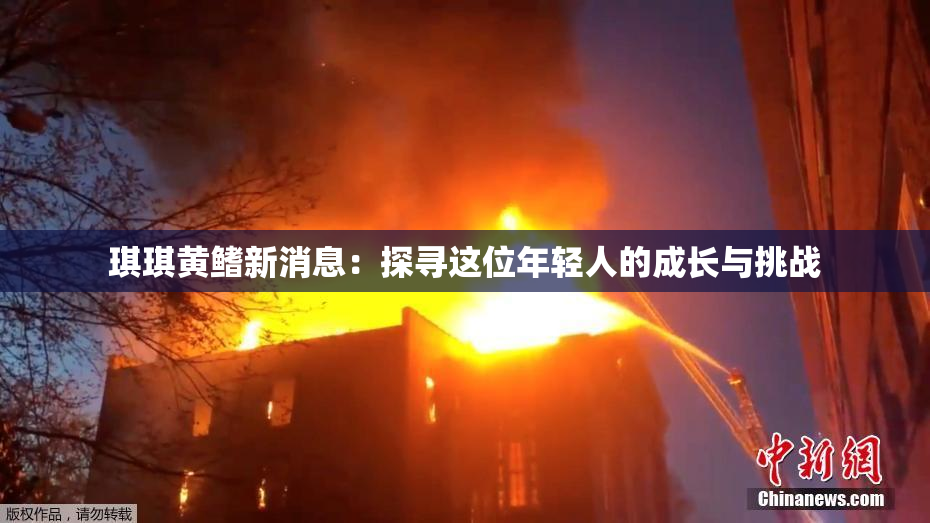 琪琪黄鳍新消息：探寻这位年轻人的成长与挑战
