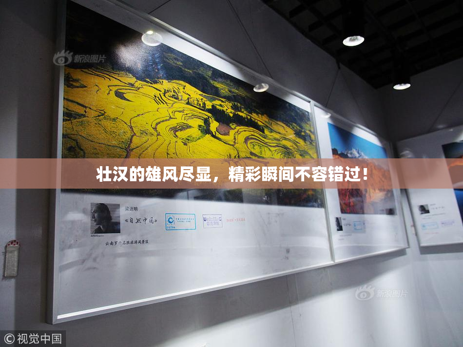 壮汉的雄风尽显，精彩瞬间不容错过！