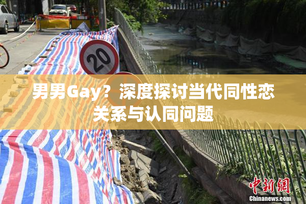 男男Gay？深度探讨当代同性恋关系与认同问题