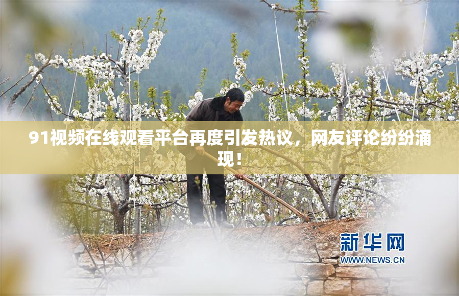 91视频在线观看平台再度引发热议，网友评论纷纷涌现！