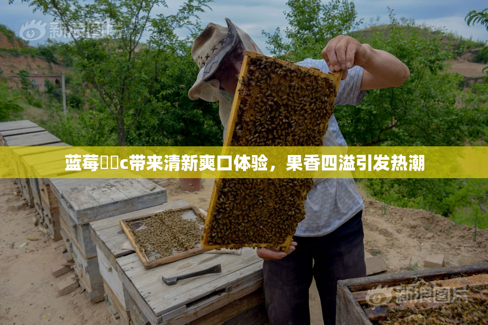 蓝莓❌‌c带来清新爽口体验，果香四溢引发热潮