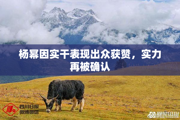 杨幂因实干表现出众获赞，实力再被确认