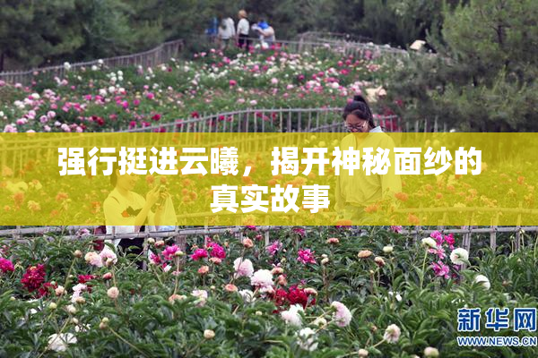 强行挺进云曦，揭开神秘面纱的真实故事