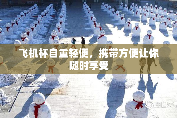 飞机杯自重轻便，携带方便让你随时享受