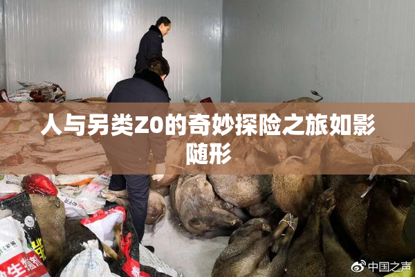 人与另类Z0的奇妙探险之旅如影随形