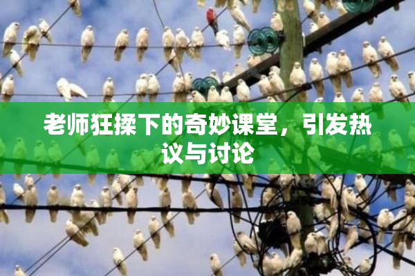 老师狂揉下的奇妙课堂，引发热议与讨论