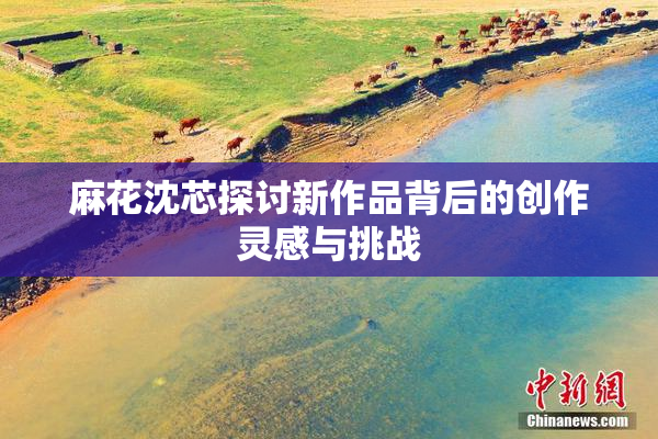 麻花沈芯探讨新作品背后的创作灵感与挑战