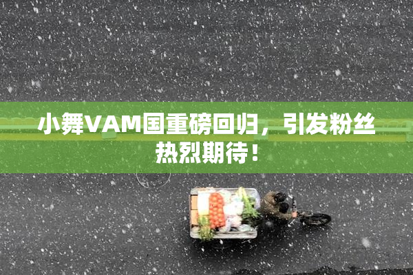 小舞VAM国重磅回归，引发粉丝热烈期待！