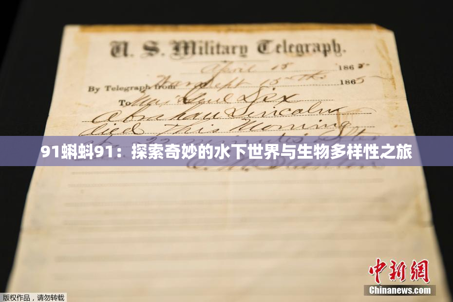 91蝌蚪91：探索奇妙的水下世界与生物多样性之旅