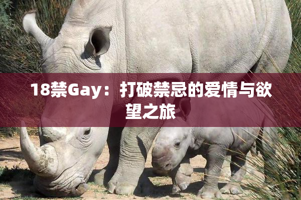 18禁Gay：打破禁忌的爱情与欲望之旅