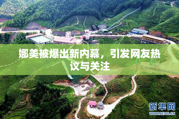 娜美被爆出新内幕，引发网友热议与关注