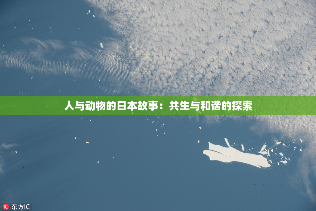人与动物的日本故事：共生与和谐的探索
