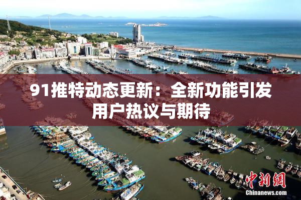91推特动态更新：全新功能引发用户热议与期待