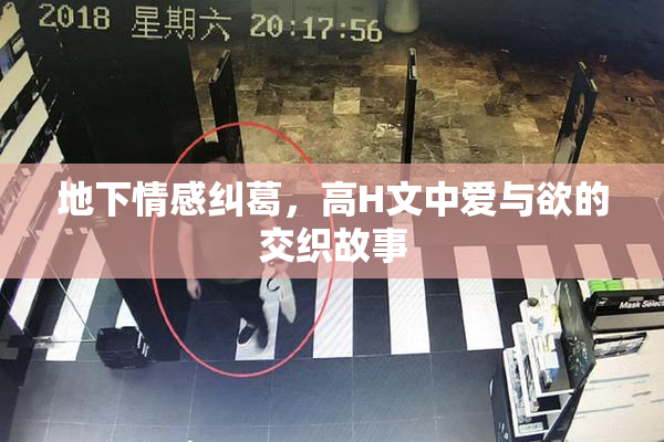 地下情感纠葛，高H文中爱与欲的交织故事
