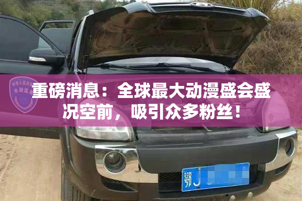 重磅消息：全球最大动漫盛会盛况空前，吸引众多粉丝！