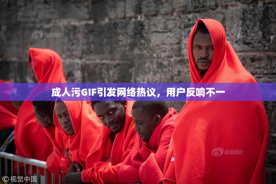 成人污GIF引发网络热议，用户反响不一