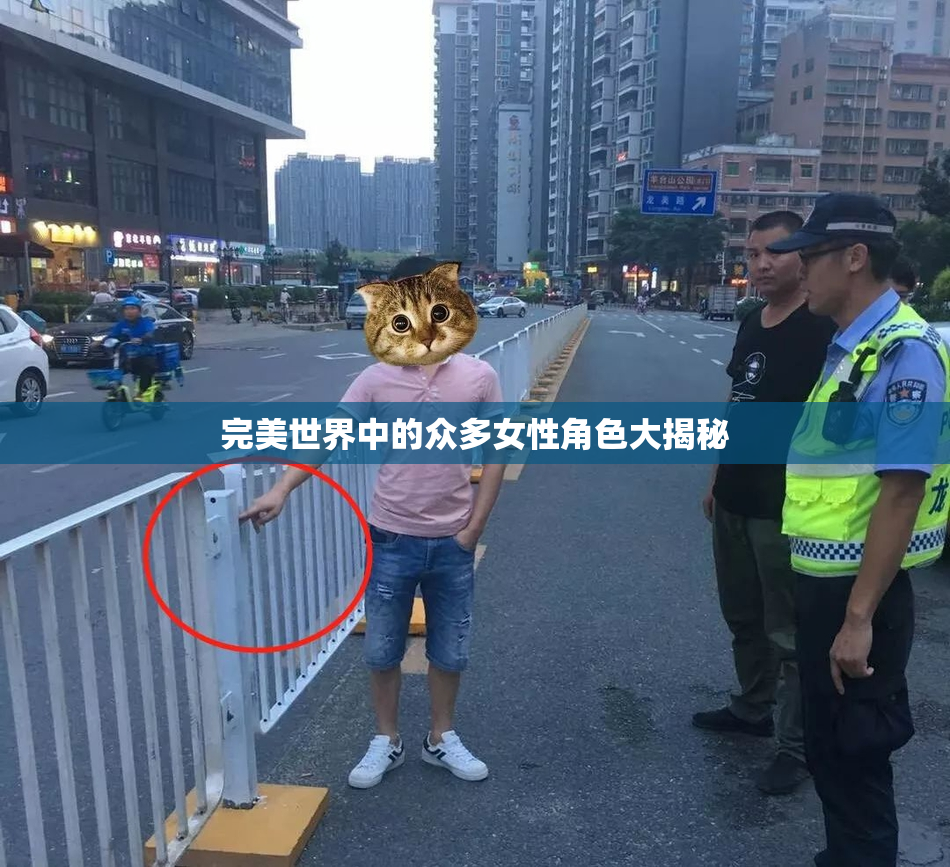 完美世界中的众多女性角色大揭秘
