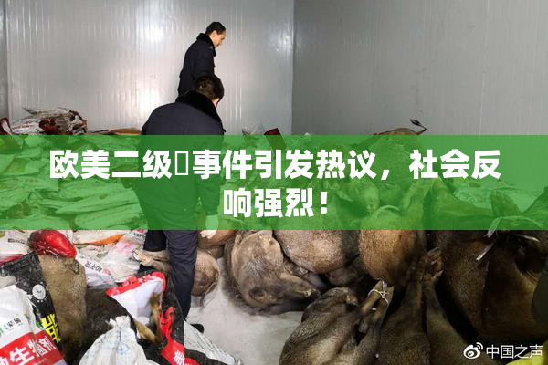 欧美二级婬事件引发热议，社会反响强烈！