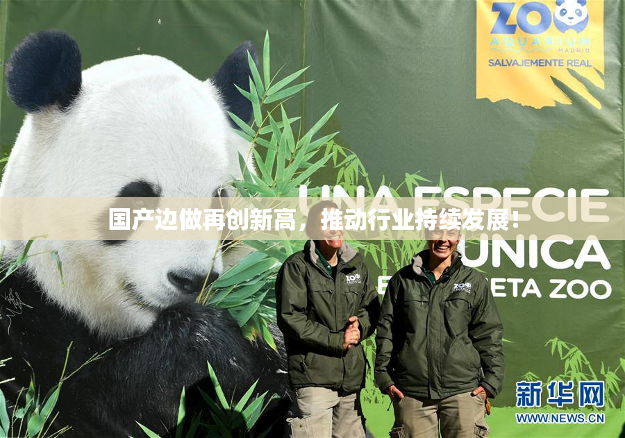 国产边做再创新高，推动行业持续发展！