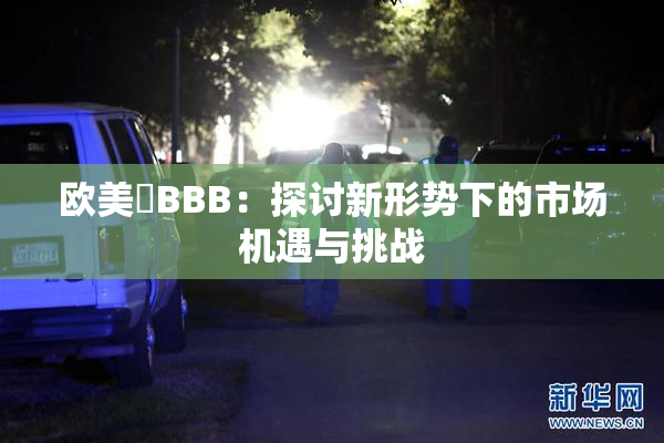 欧美槡BBB：探讨新形势下的市场机遇与挑战