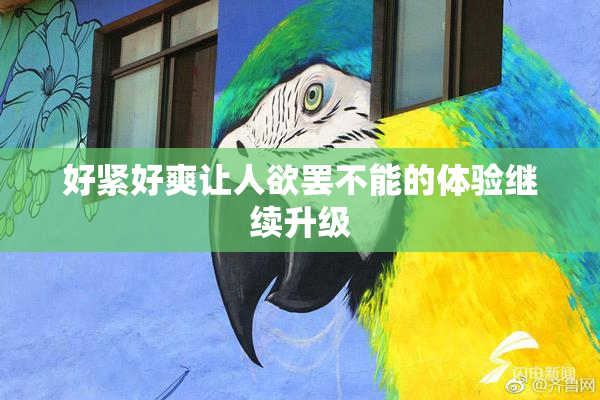 好紧好爽让人欲罢不能的体验继续升级