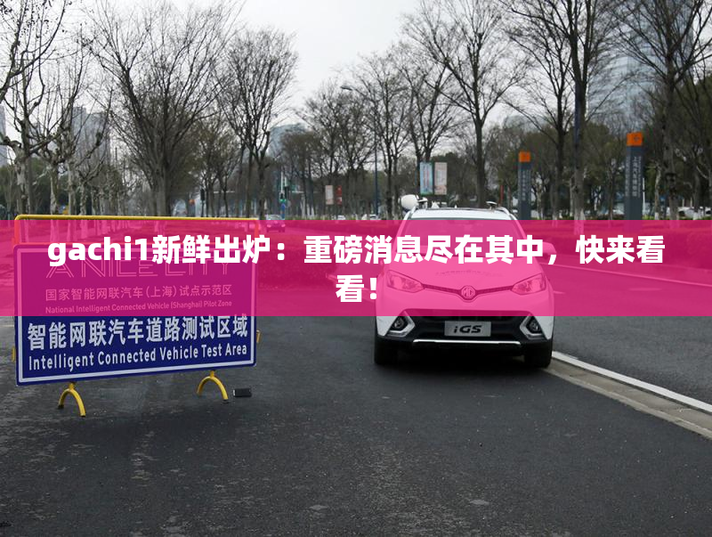 gachi1新鲜出炉：重磅消息尽在其中，快来看看！
