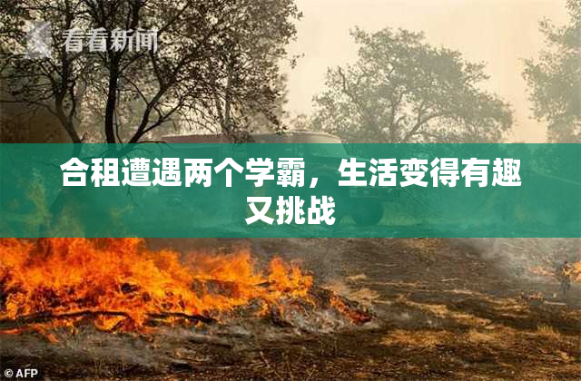 合租遭遇两个学霸，生活变得有趣又挑战