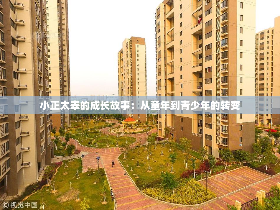 小正太睾的成长故事：从童年到青少年的转变