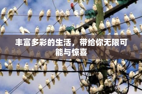 丰富多彩的生活，带给你无限可能与惊喜