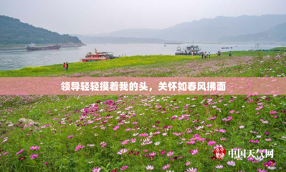 领导轻轻摸着我的头，关怀如春风拂面