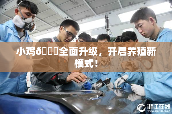 小鸡🐔全面升级，开启养殖新模式！