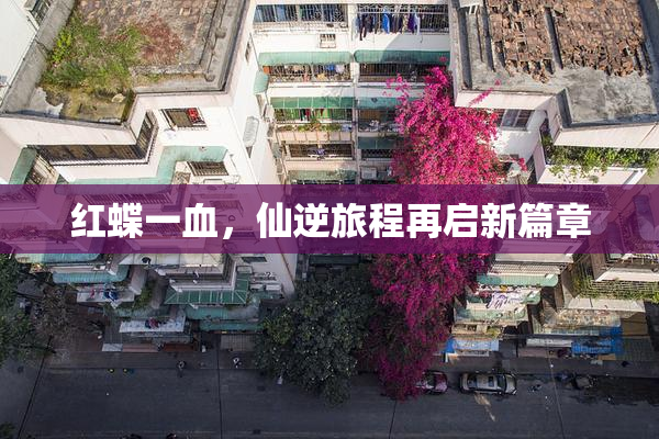 红蝶一血，仙逆旅程再启新篇章