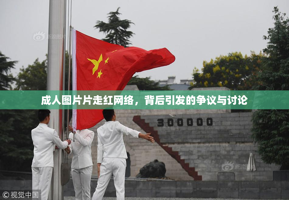 成人图片片走红网络，背后引发的争议与讨论