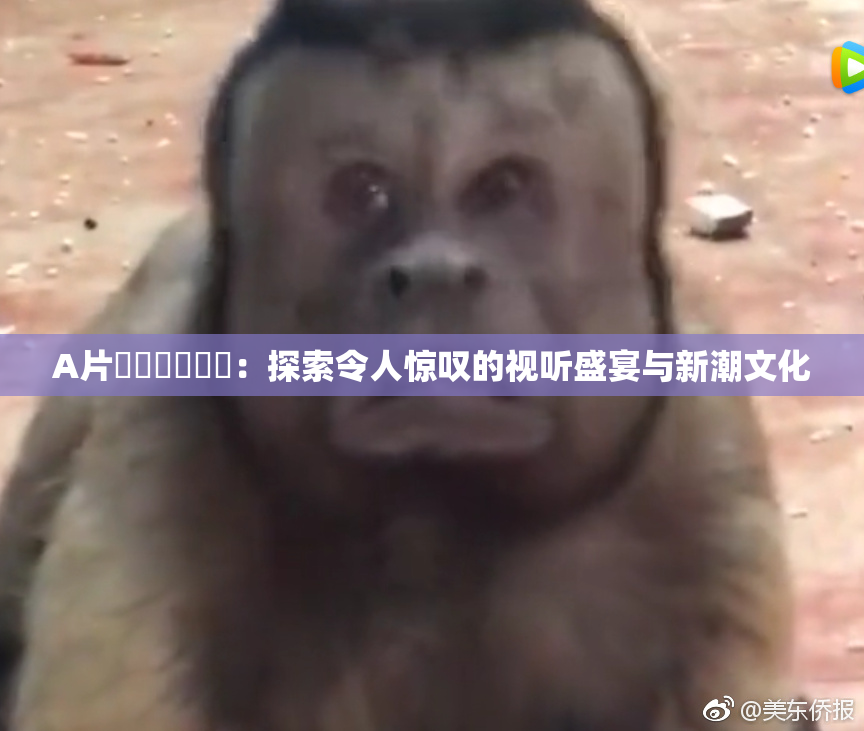 A片❌‌❌‌❌‌：探索令人惊叹的视听盛宴与新潮文化