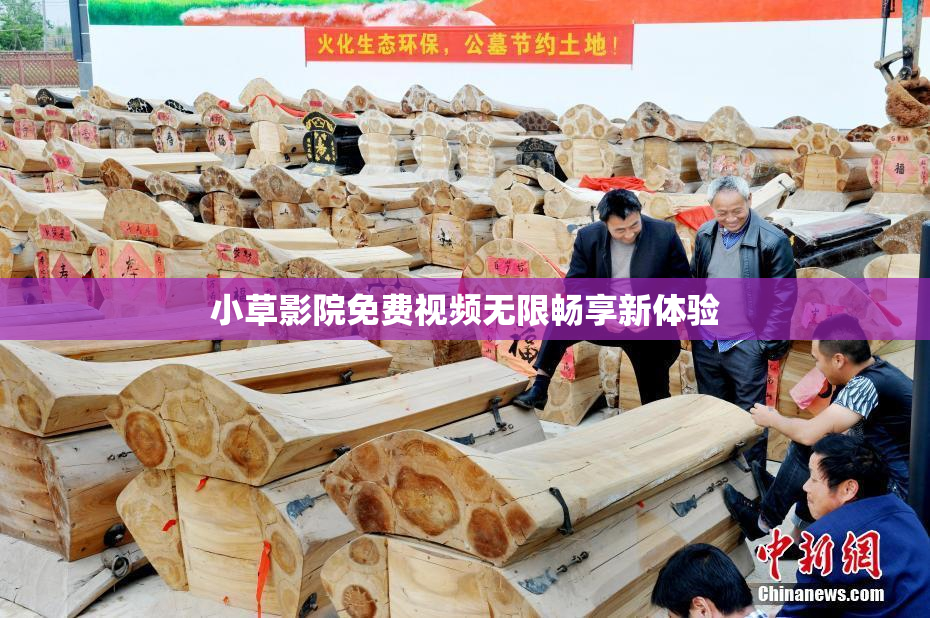 小草影院免费视频无限畅享新体验