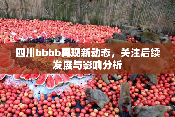 四川bbbb再现新动态，关注后续发展与影响分析