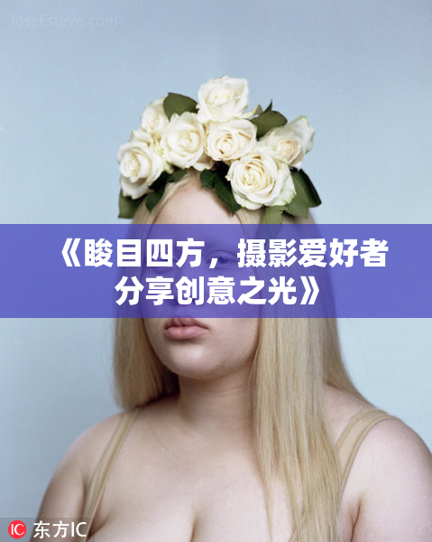 《睃目四方，摄影爱好者分享创意之光》