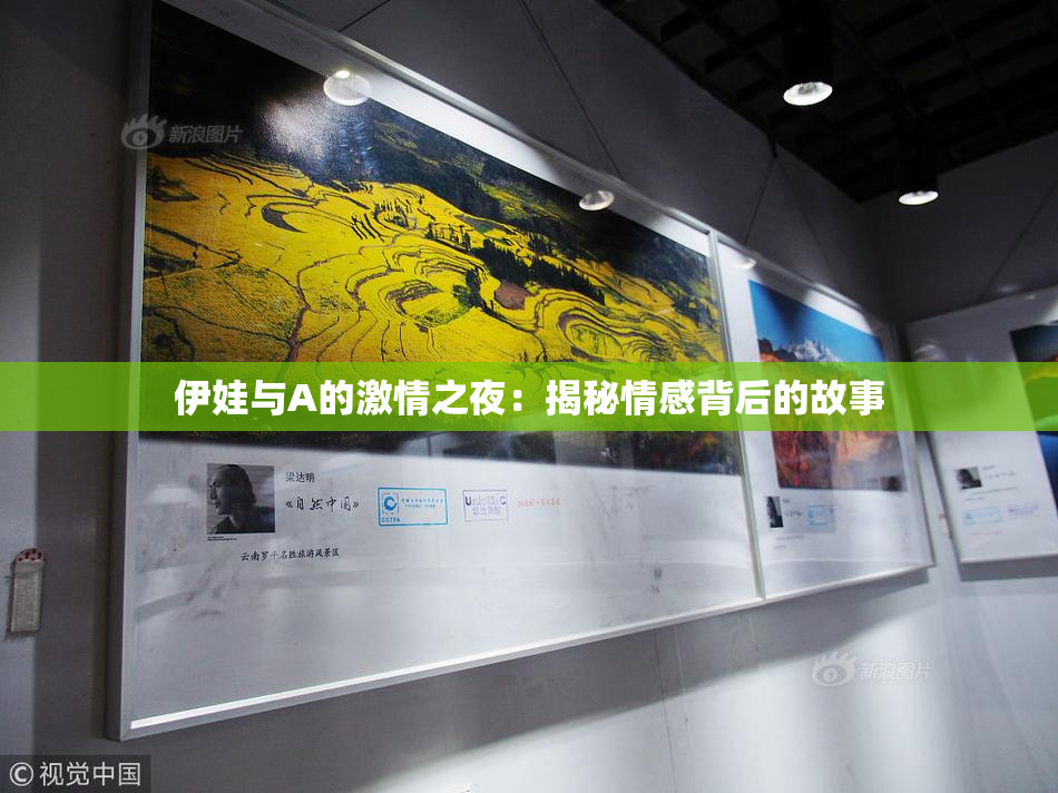 伊娃与A的激情之夜：揭秘情感背后的故事