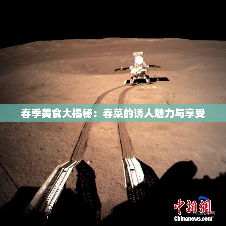 春季美食大揭秘：春菜的诱人魅力与享受