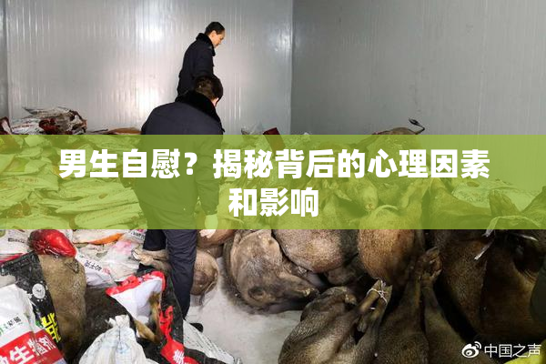 男生自慰？揭秘背后的心理因素和影响