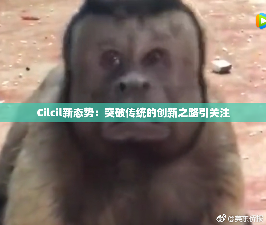 Cilcil新态势：突破传统的创新之路引关注