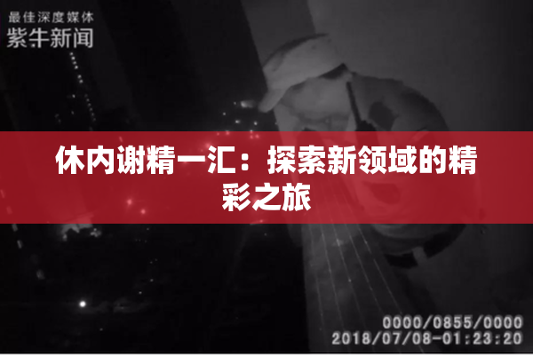 休内谢精一汇：探索新领域的精彩之旅