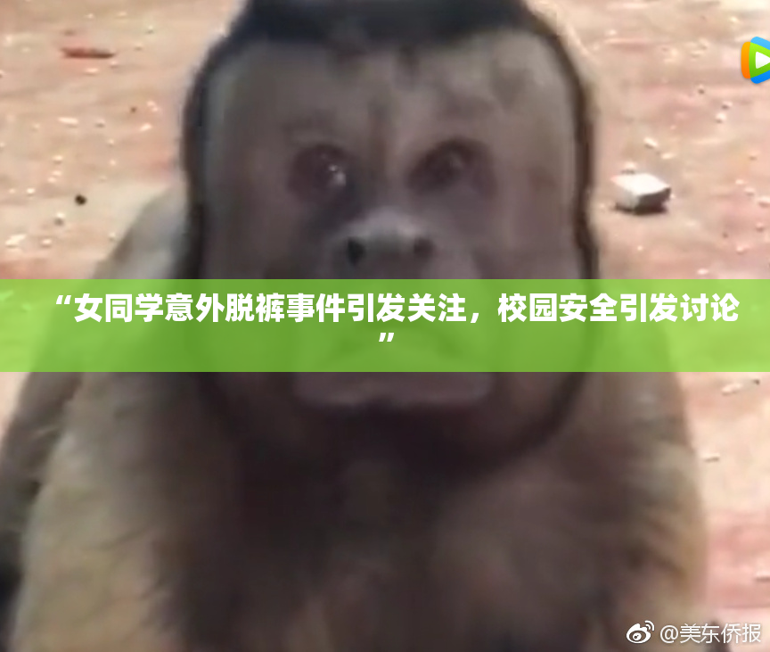 “女同学意外脱裤事件引发关注，校园安全引发讨论”