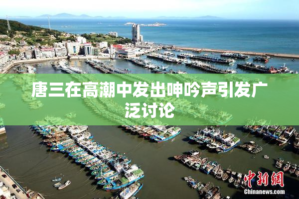 唐三在高潮中发出呻吟声引发广泛讨论